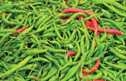 serrano peppers
