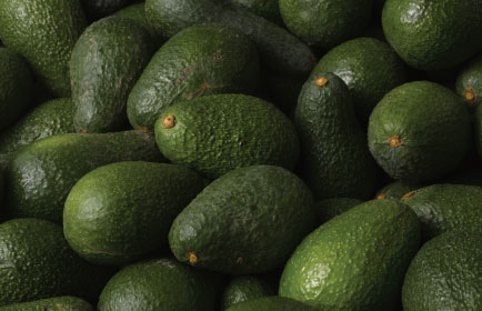 hass avocado