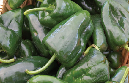 poblano peppers